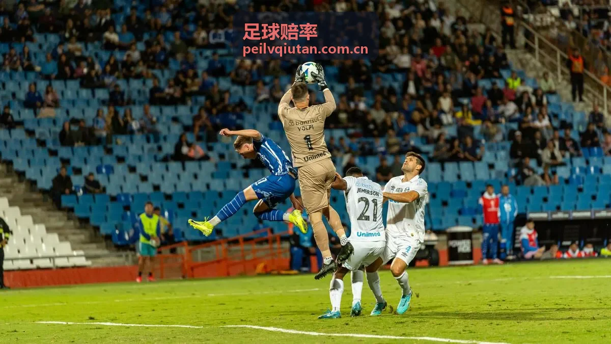 赔率预测
